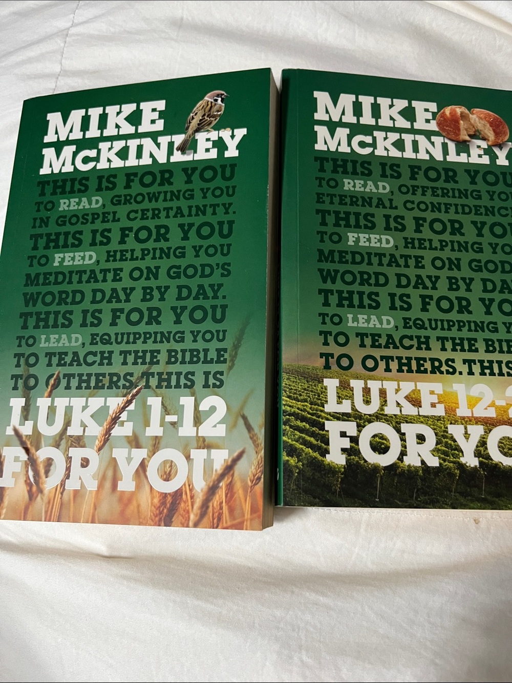 2 Volume Commentary on Luke.  Like new